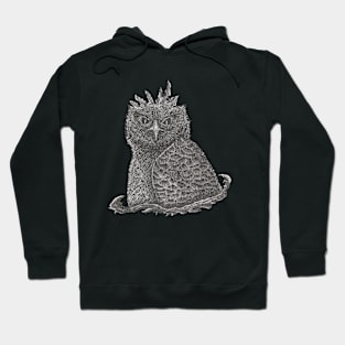 Baby Owl Hoodie